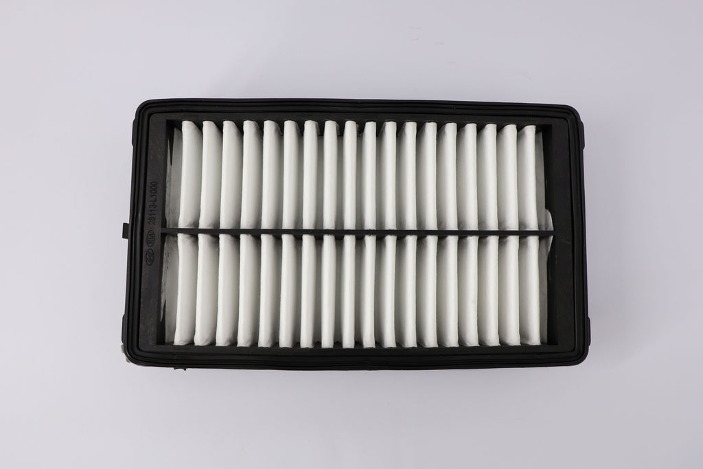 AIR FILTER HYNDAI SONATA (L-1000)