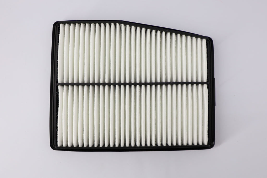 AIR FILTER HYNDAI SANTA FE (28113-L5100)